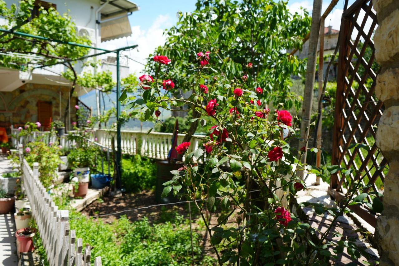 Guest house Grandma's *